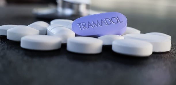 Trafic de Tramadol : le réseau Dakar-Bamako-Niger démantelé