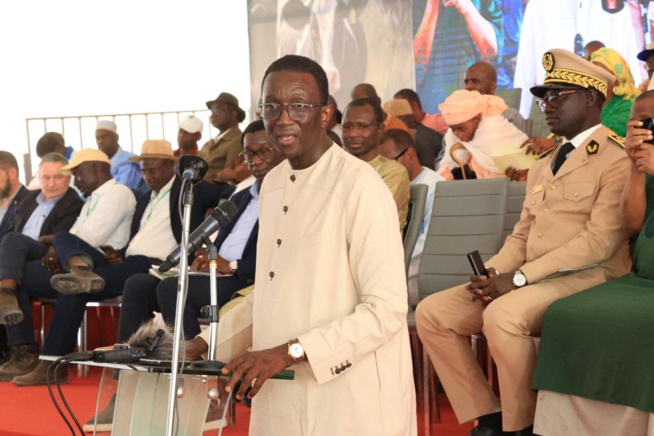 Élevage: Amadou Ba, Premier Ministre réceptionne 1300 génisses gestantes à haut potentiel laitier