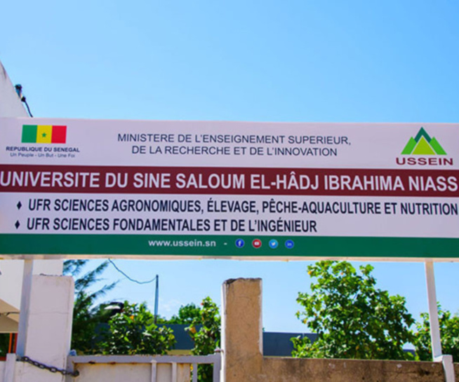 Université El hadji Ibrahima Niass de Kaolack : La colère des étudiants en Machinisme de l’Ussein