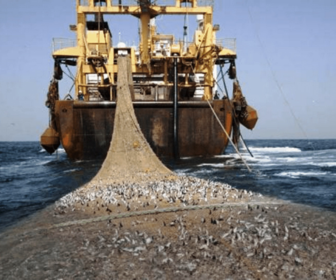 Avertissement de la Commission européenne au Sénégal sur la pêche illicite