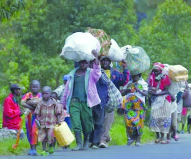 Casamance- retour des populations déplacées dans les villages sécurisés par l’armée : un processus timide dans l’arrondissement de Niassya