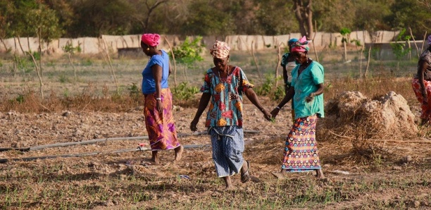 Sénégal : Plus d’une femme sur deux participe à l’activité économique