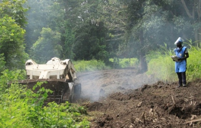 Déminage des villages de Nyassia: Plus de 151 mille m2 nettoyés selon le Cnams