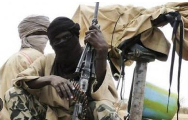 Cameroun : Boko Haram frappe à nouveau l’Extrême-Nord