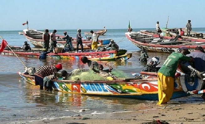 Journée Mondiale De La Pêche La CAPS sensibilise sur l’émigration irrégulière et la préservation de la ressource