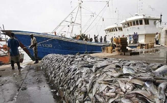 Pêche-Accord de partenariat Sénégal-UE : Moins de 7 milliards FCFA reçus par le Sénégal entre 2019-2024