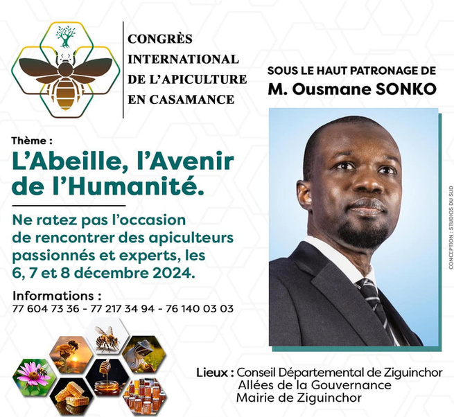 Économie verte : Le Congrès International de l’Apiculture en Casamance s’ouvre ce vendredi à Ziguinchor