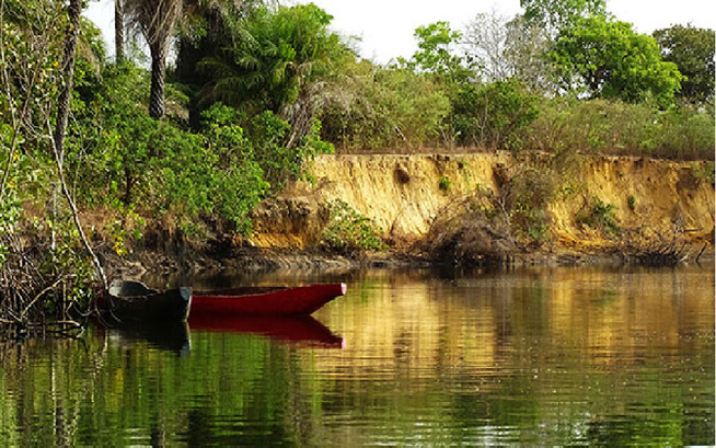 Kolda - Crise Écologique Sans Précédent : Le fleuve Casamance à l’agonie