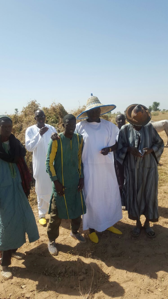 IMAGES: Serigne Djily Fatah en visite dans ses champs à Hosnoul Mahab 3 Ndindy.