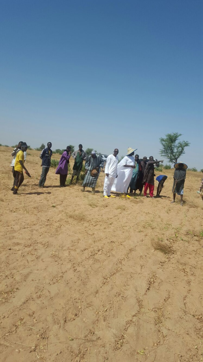 IMAGES: Serigne Djily Fatah en visite dans ses champs à Hosnoul Mahab 3 Ndindy.