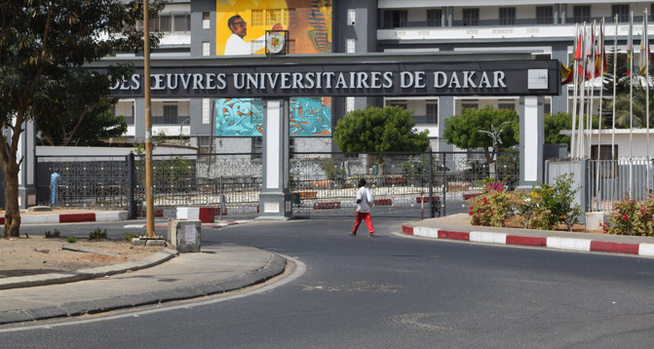 Tension à l’université de Dakar : L’Intersyndicale du COUD fustige les perturbations et demande l’intervention des autorités