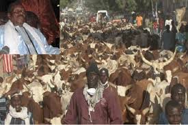 Abus de confiance: Le verdict de l’affaire du responsable de l’abattoir de Cheikh Bethio Thioune