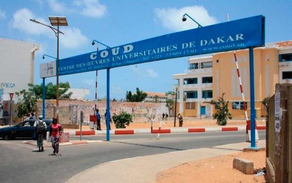 "Le Saes doit arrêter de transposer ses combats politiques et crypto-personnels dans l’espace universitaire", selon le Collectif des étudiants de Ziguinchor