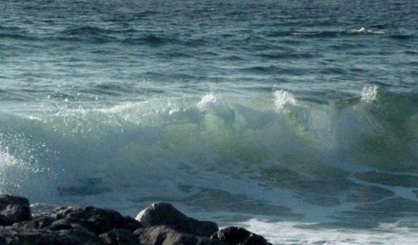 Portée disparue depuis le 1er mars dernier, la petite Mariama Cissé retrouvée morte à la plage