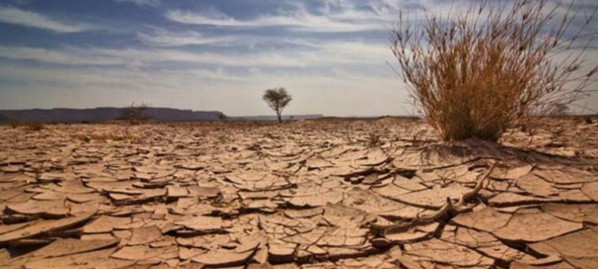 Changement climatique : Le Dg de l’Anacim prône une "approche globale"