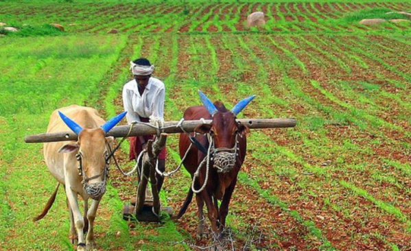 Projet écovillages : Le modèle sénégalais inspire le Burkina Faso