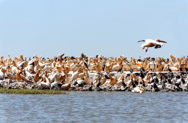 1ère Edition du concours sur le tourisme durable : Orni Tourisme Sénégal séduit le jury