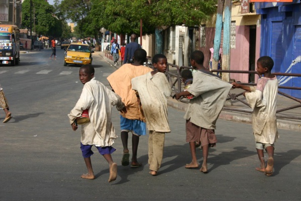 Education, mendicité, environnement… : Mamath Sow du Cese rumine sa colère