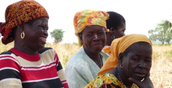 Entreprenariat : L’OMCC et la Fondation Mondiale du Cacao arment des femmes ivoiriennes