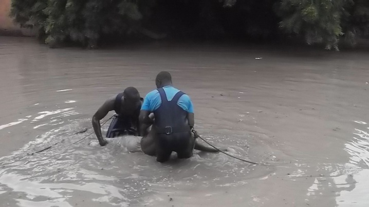 Drame à Tamba : Un camion malien finit sa course dans le fleuve Gambie et fait deux morts