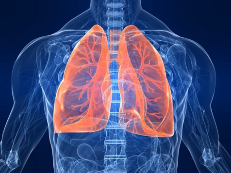 Ce jeudi 16 novembre- 2 journées mondiales: la journée mondiale contre les Broncho-Pneumopathies Chroniques Obstructives et la Journée Internationale de la Tolérance