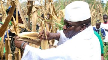 Guinée Equatoriale:Yahya Jammeh veut se lancer dans l’agriculture