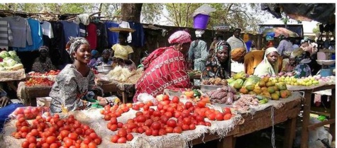 Agriculture : comment l'Afrique de l'Ouest s'y prend sur les marchés internationaux