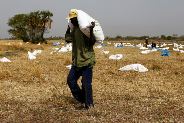 Alerte rouge: 800 000 Sénégalais en proie à la famine !