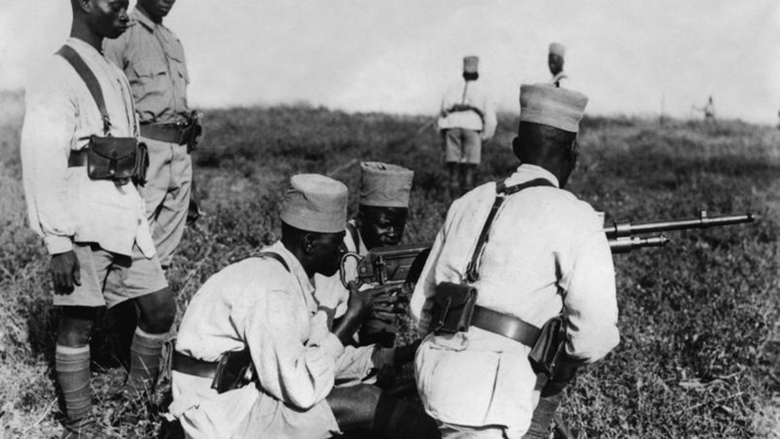 FRANCE: 28 tirailleurs sénégalais naturalisés à l'Élysée