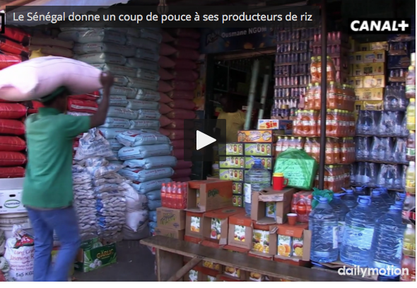 idéo – Le Sénégal donne un coup de pouce à ses producteurs de riz