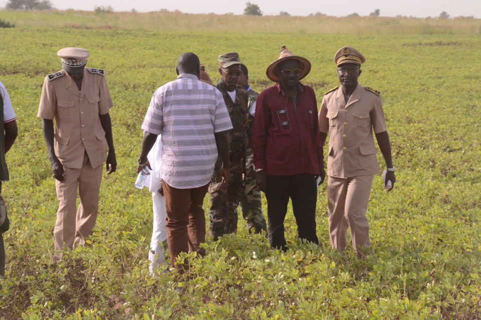 Khelcom: Pape Abdoulaye Seck magnifie l'exemple du périmètre agricole de feu Serigne Saliou Mbacké