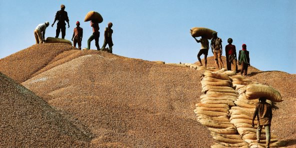 Sénégal : l’huilier Sonacos prépare sa deuxième privatisation