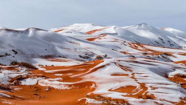 Vidéo et Photos – Fait inédit : La neige a envahi les belles dunes de sable du Sahara