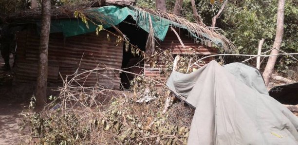 AU CŒUR D’UNE BASE REBELLE EN CASAMANCE: Bunkers, munitions, médicaments, drogue…