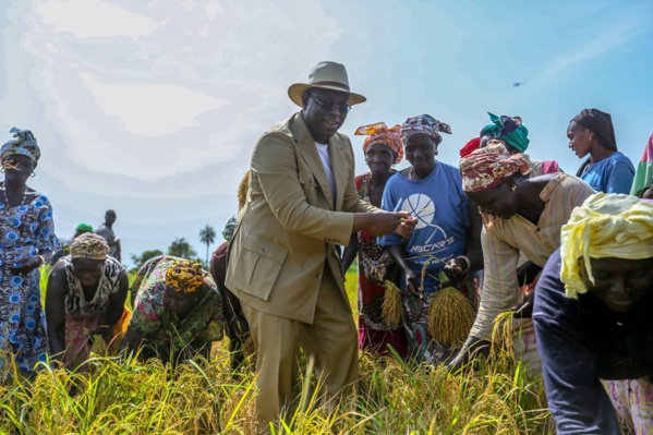 Fatick : la Convergence des Cadres républicains salue la tournée en Casamance à grande portée sociale et économique de Macky Sall