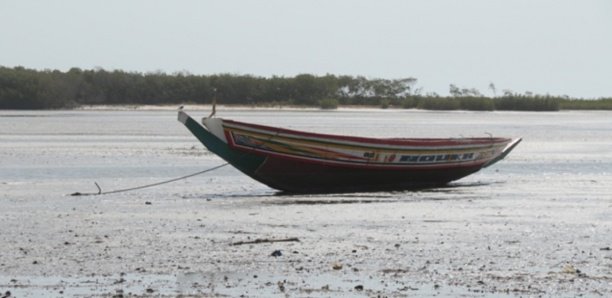 Podor: Le naufrage d'une pirogue fait 4 morts