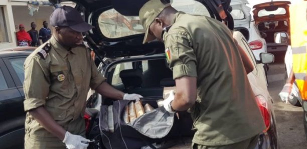 Port de Dakar : Nouvelle saisie de drogue d'une valeur de 3 milliards F Cfa