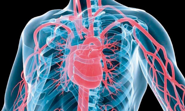 Prise en charge maladies cardiovasculaires au Sénégal: 7 milliards de FCfa investis dans les évacuations sanitaires