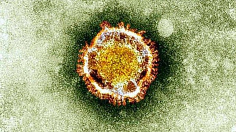 Covid-19: que sait-on de la variante plus "transmissible" du virus en Afrique du Sud?