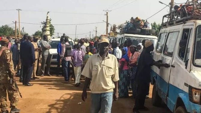 Diouloulou: La Gendarmerie arrête deux trafiquants avec 273 Kg de Yamba et...