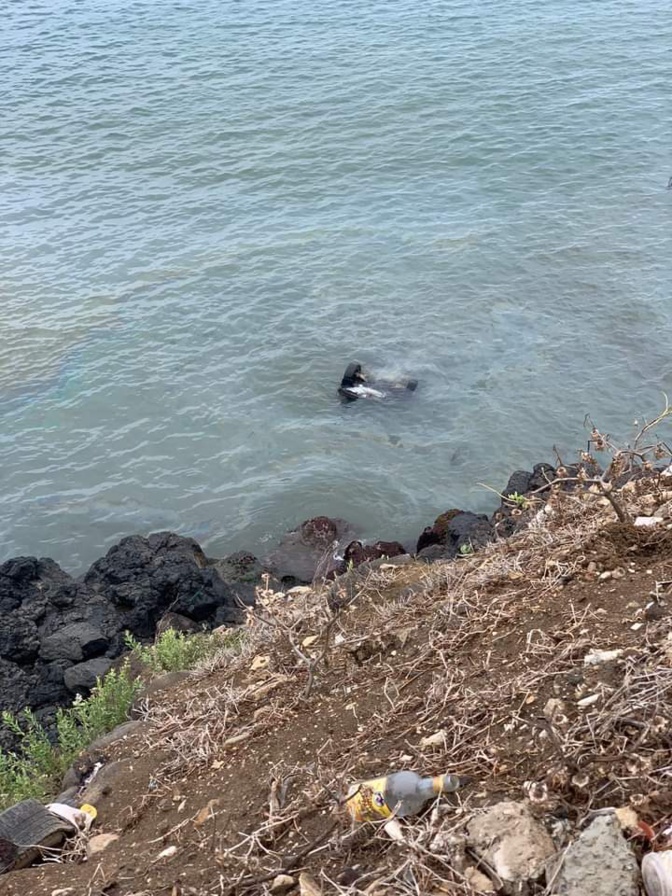 Son petit ami lui donne son véhicule: Elle termine sa course dans la mer et...