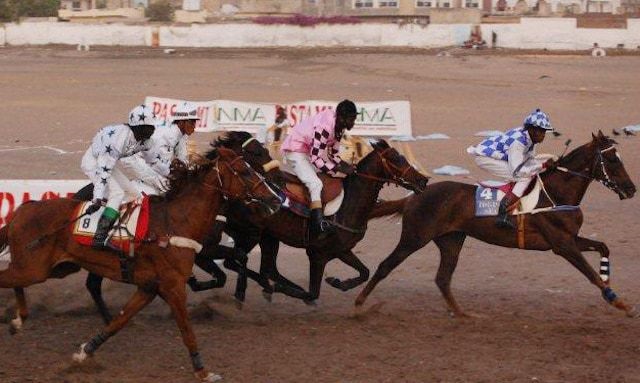 Sport : le monde hippique endeuillé par la disparition d’Ibrahima Bao