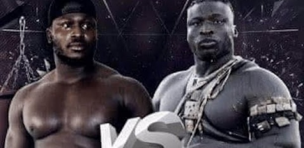 Combat Modou Lo vs Ama Balde : Suivez la declaration de Luc Nicolai and Co