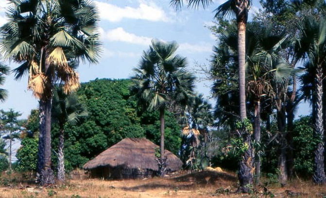 Parc de la Basse Casamance : le processus de réouverture enclenché pour 700 millions f CFA