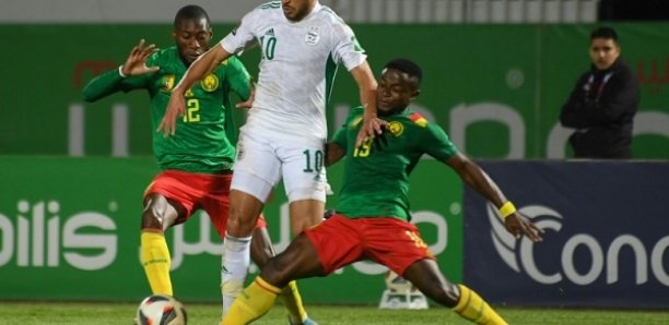 Requête devant la Fifa : L'Algérie veut rejouer son match contre le Cameroun