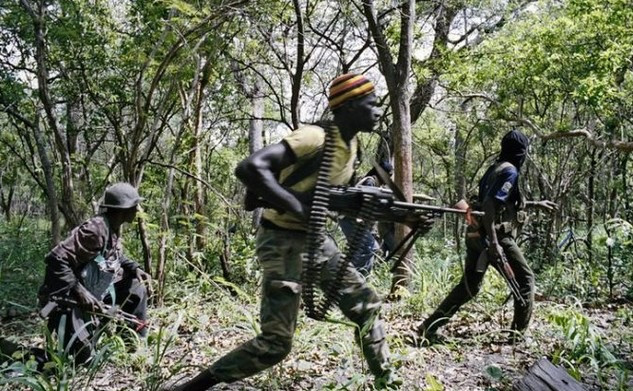 Démantèlement des caches de chanvre indien: Entre l'ingéniosité des rebelles et le flair de l'Armée. Regardez !