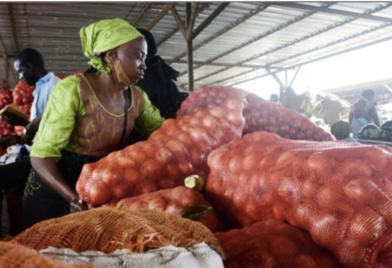 Le sac d'oignon vendu à 50 000 F Cfa à Touba