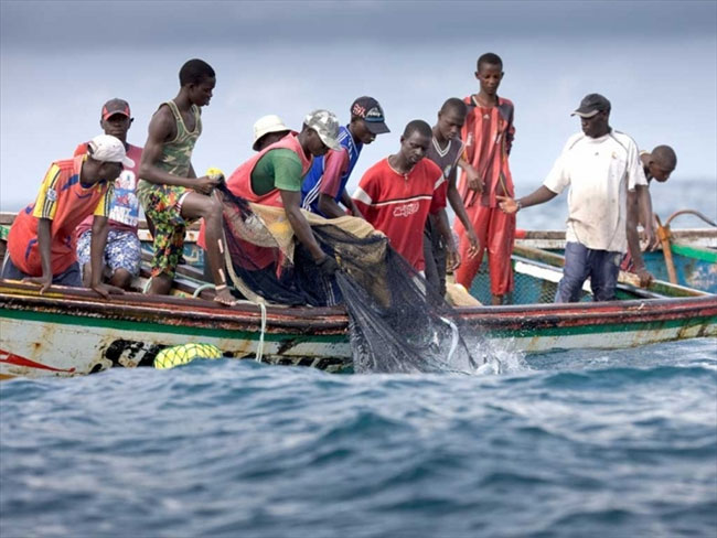 Kolda/ Pour vol de poissons: Deux personnes tuées à Saré Modou