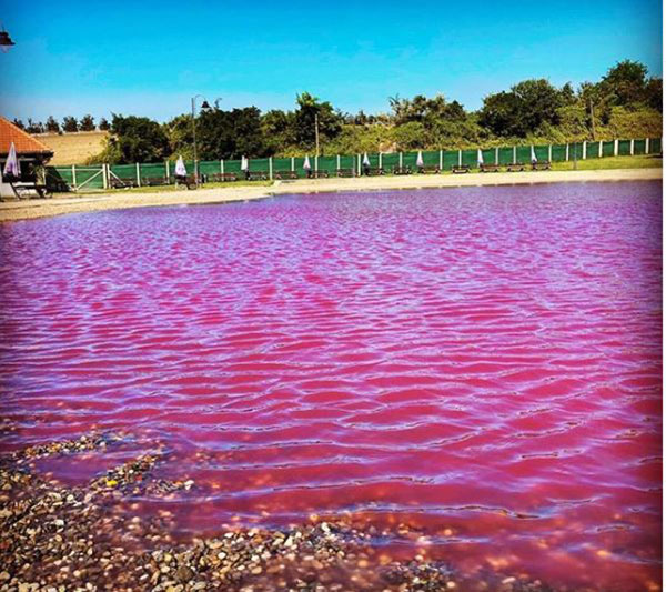 Niague / Trop-plein d’eau au Lac Rose : Hôtels et boutiques d’art impactés par le débordement