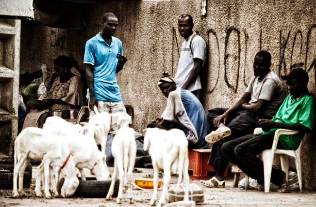 Emploi du temps/ ANSD: « Les Sénégalais passent 17 heures de temps sans activité »